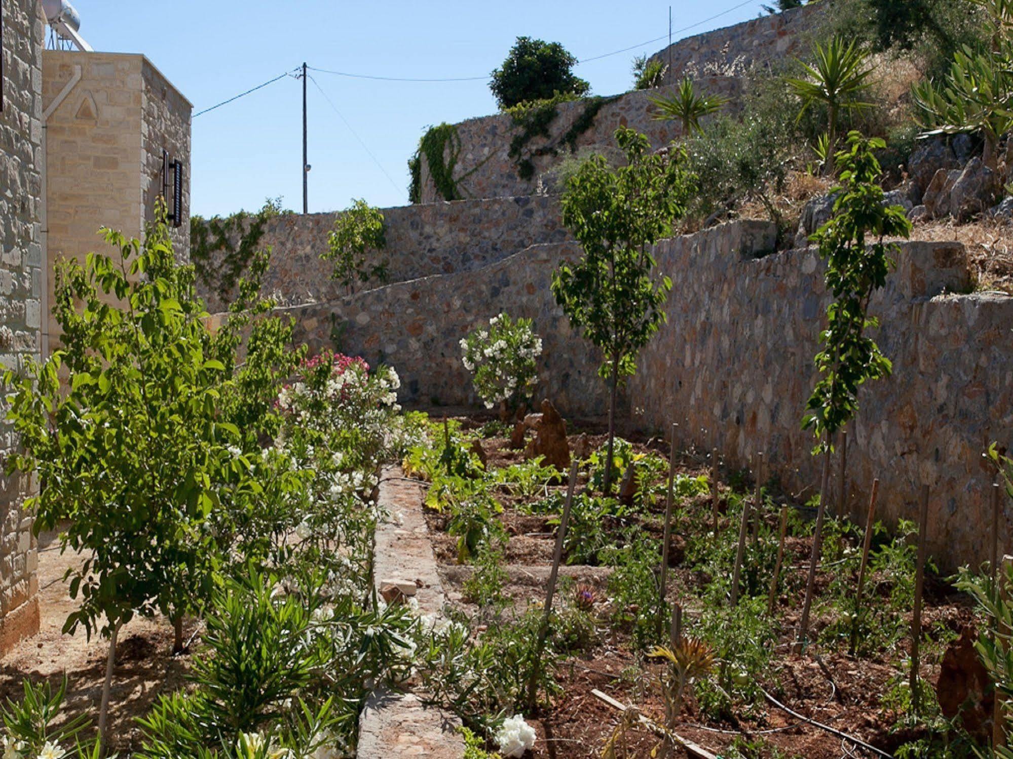 Villa Apollo - Saint George'S Retreat Village Kokkino Chorio المظهر الخارجي الصورة